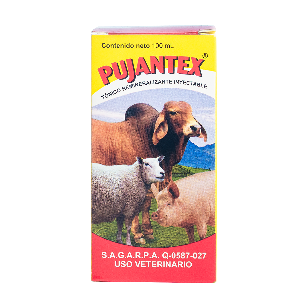 Pujantex