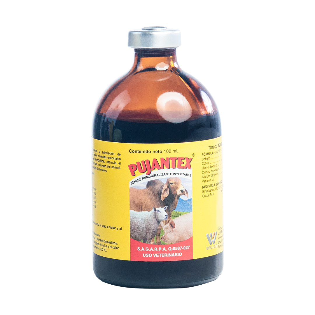 Pujantex