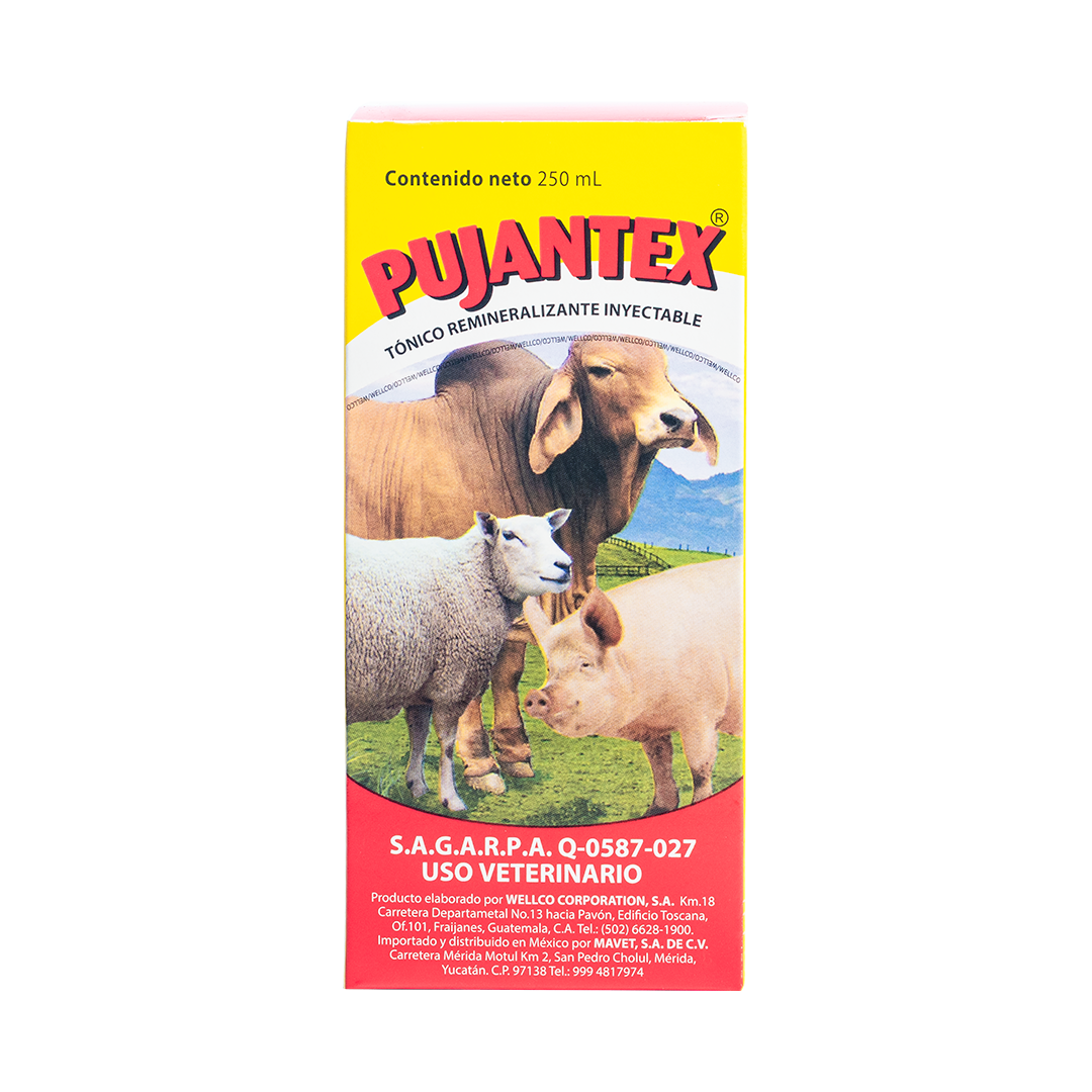 Pujantex