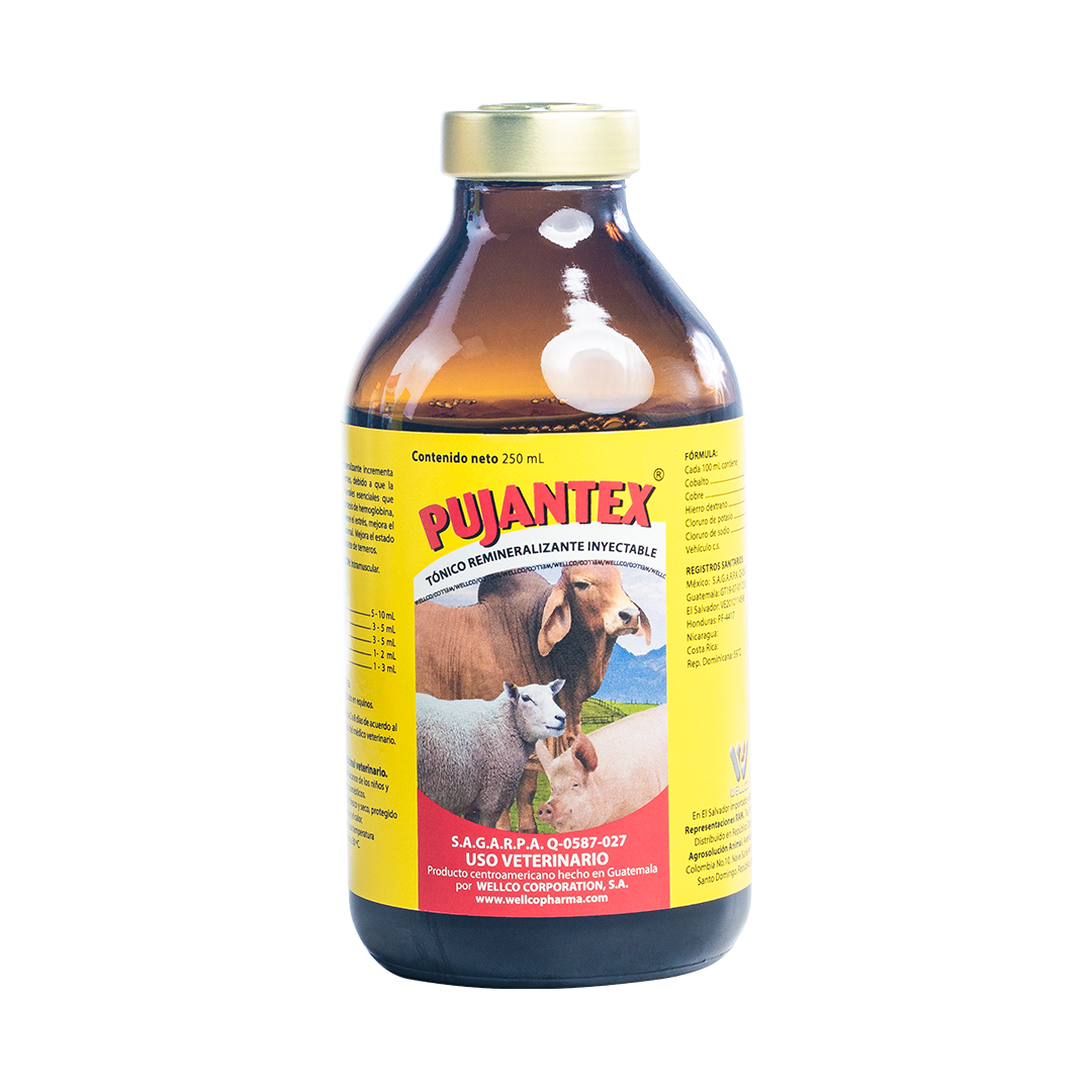 Pujantex