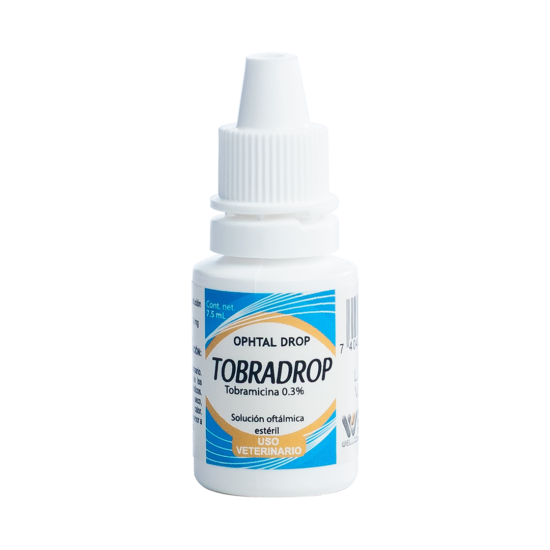 Tobradrop