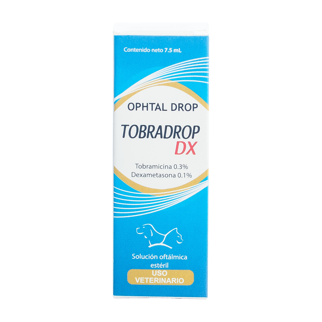 Tobradrop DX