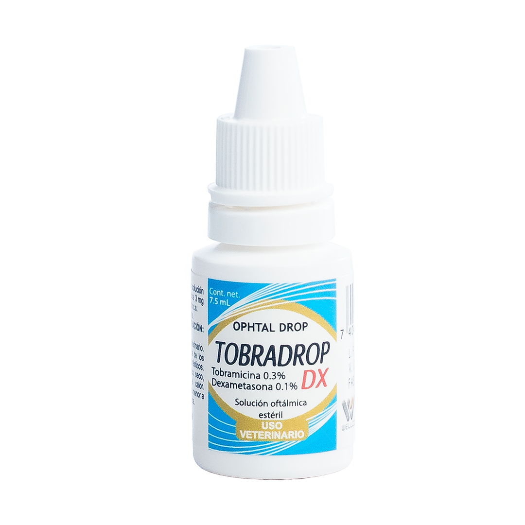 Tobradrop DX