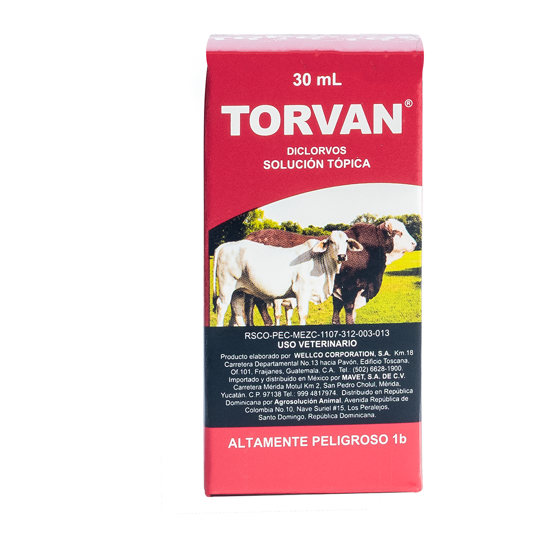 Torvan