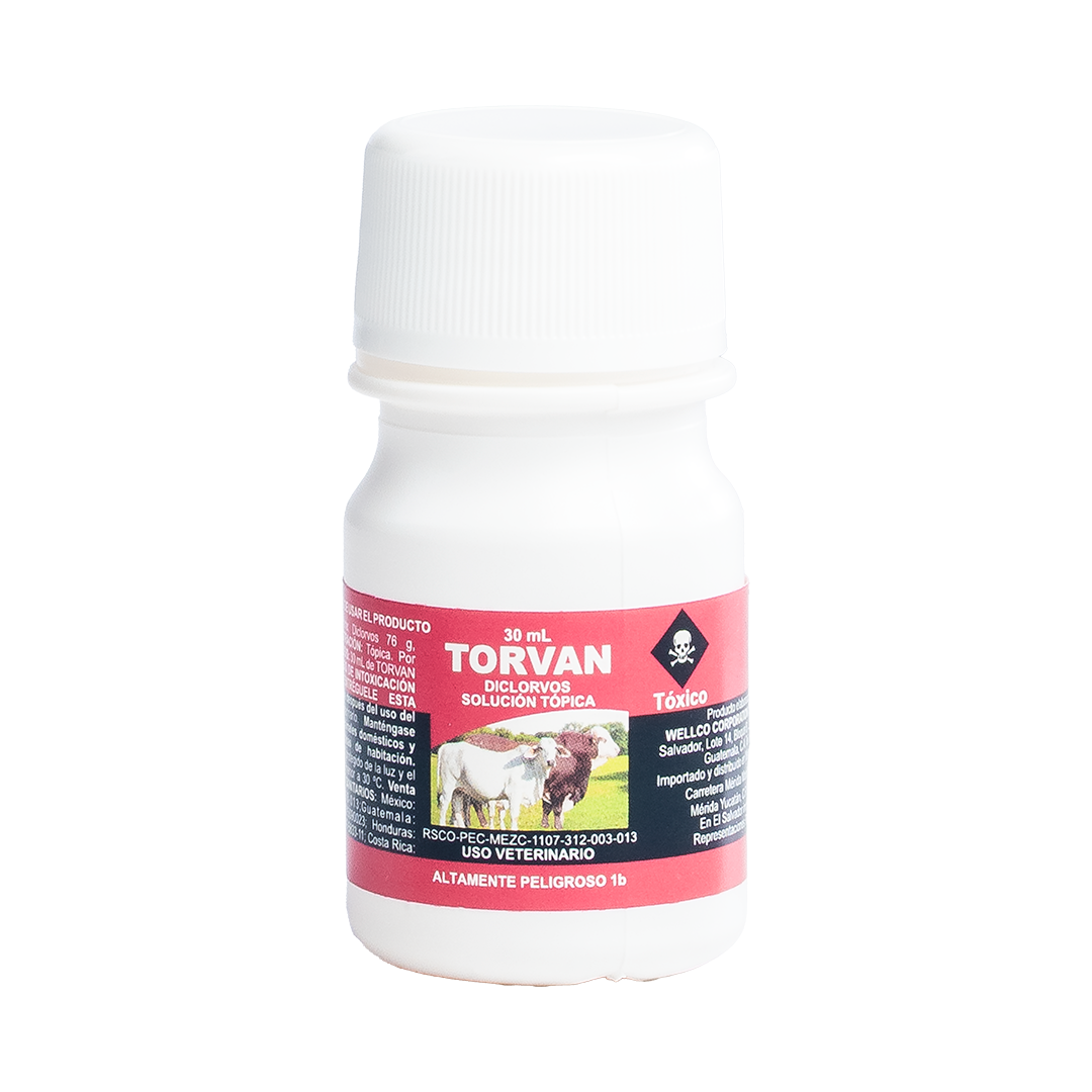 Torvan