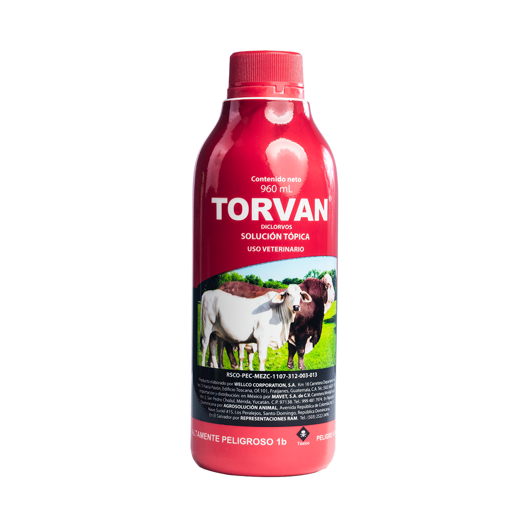 Torvan