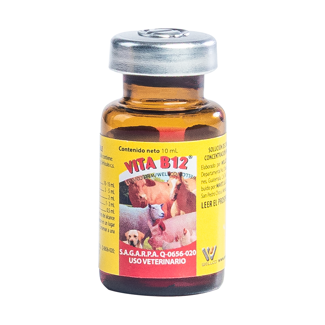 Vita B12