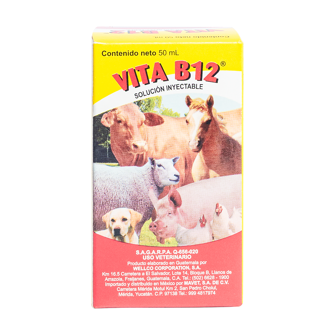 Vita B12