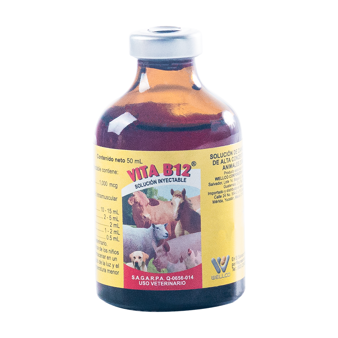 Vita B12