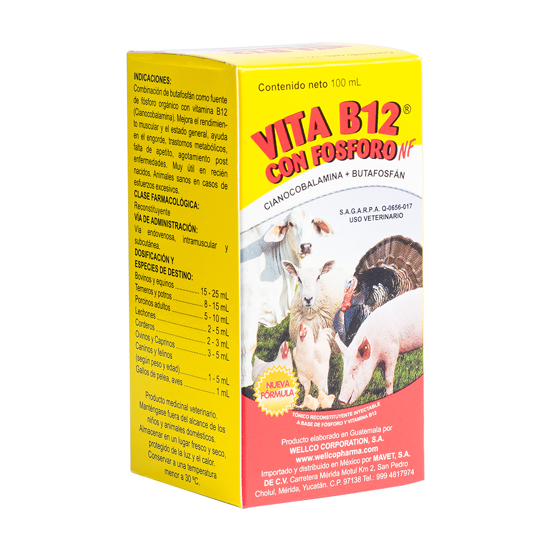 Vita B12 Con Fósforo