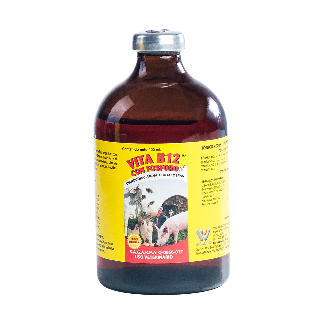 Vita B12 Con Fósforo