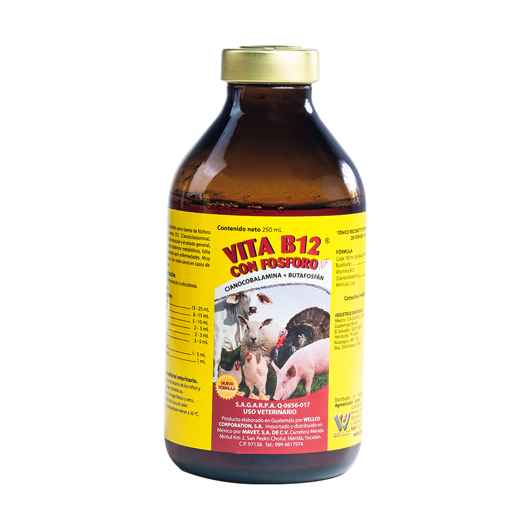 Vita B12 Con Fósforo