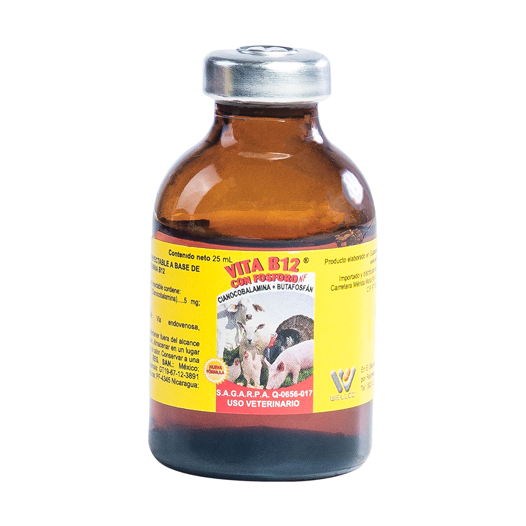 Vita B12 Con Fósforo