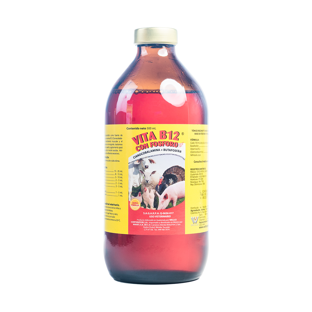 Vita B12 Con Fósforo