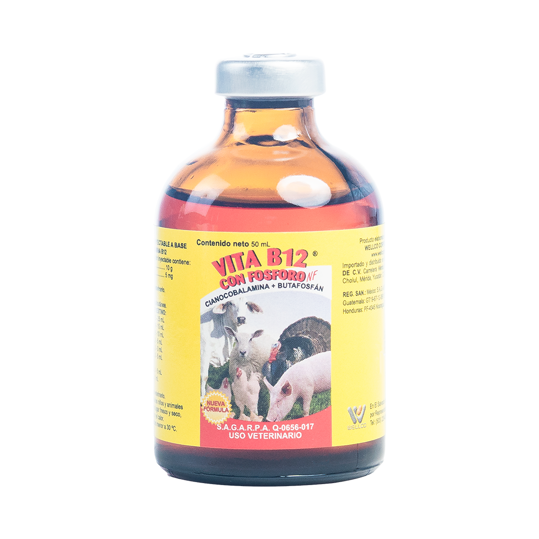 Vita B12 Con Fósforo