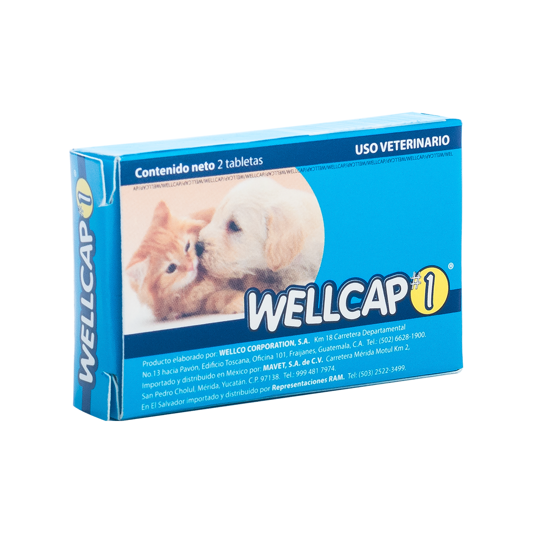 Wellcap #1