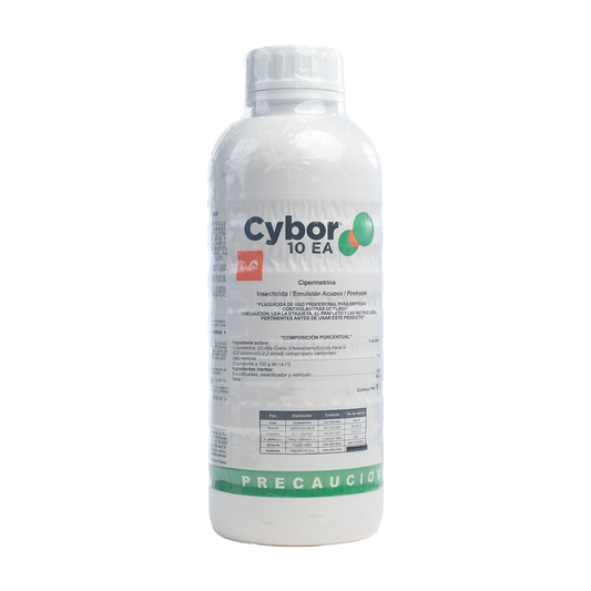 Cybor 10 EA