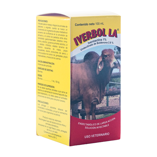 Iverbol L.A.