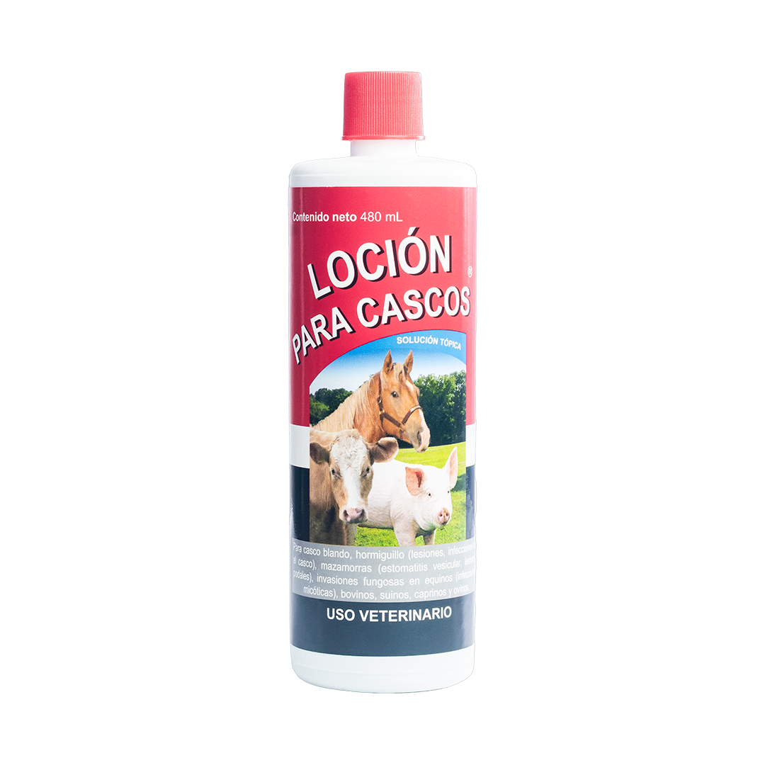 Loción para Cascos
