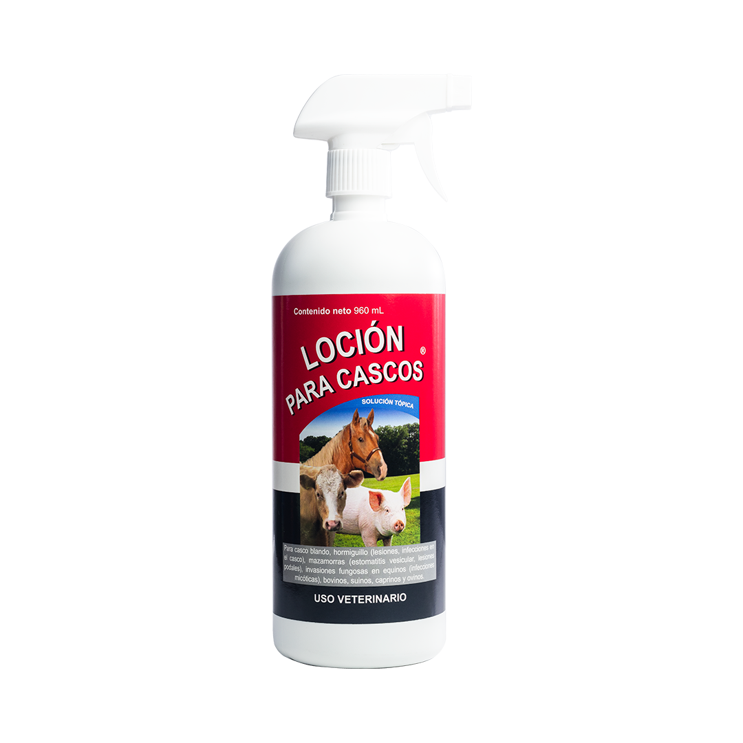 Loción para Cascos