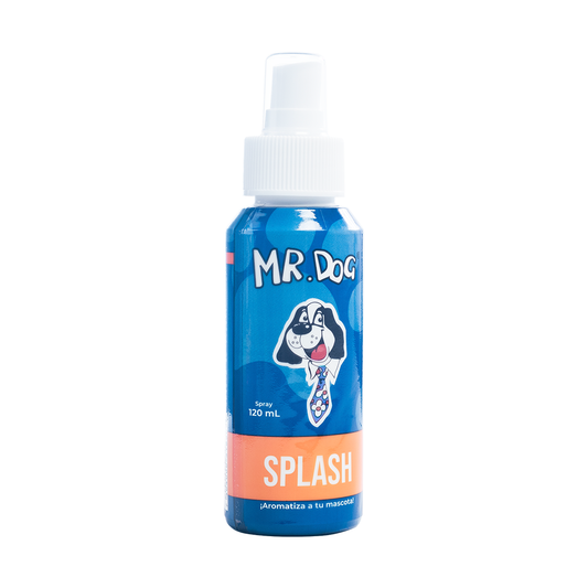 Mr.Dog Splash