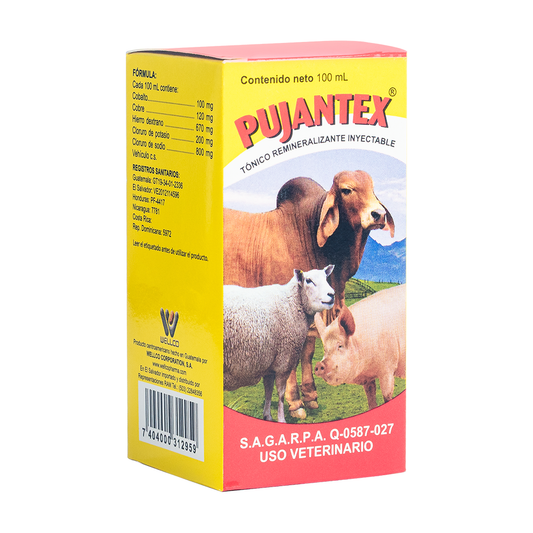 Pujantex