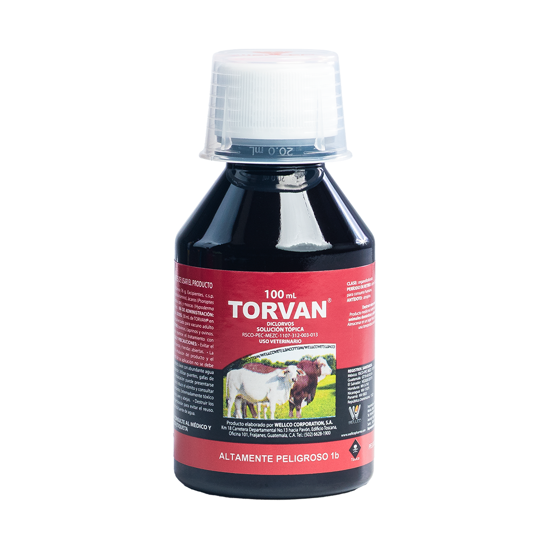 Torvan