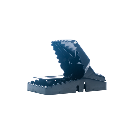 Trampa T-Rex