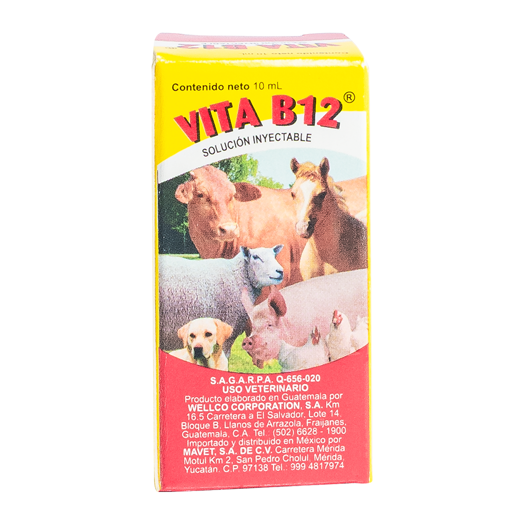 Vita B12