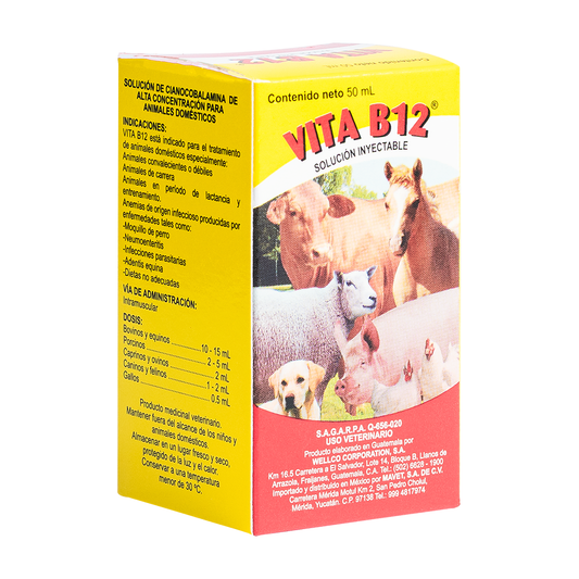 Vita B12