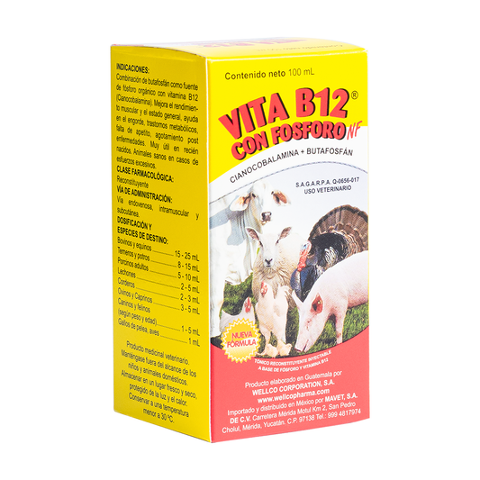 Vita B12 Con Fósforo