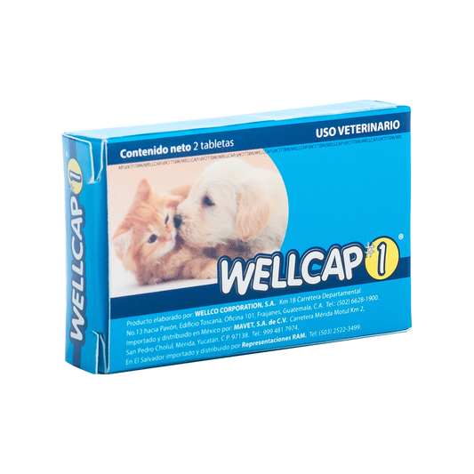 Wellcap #1