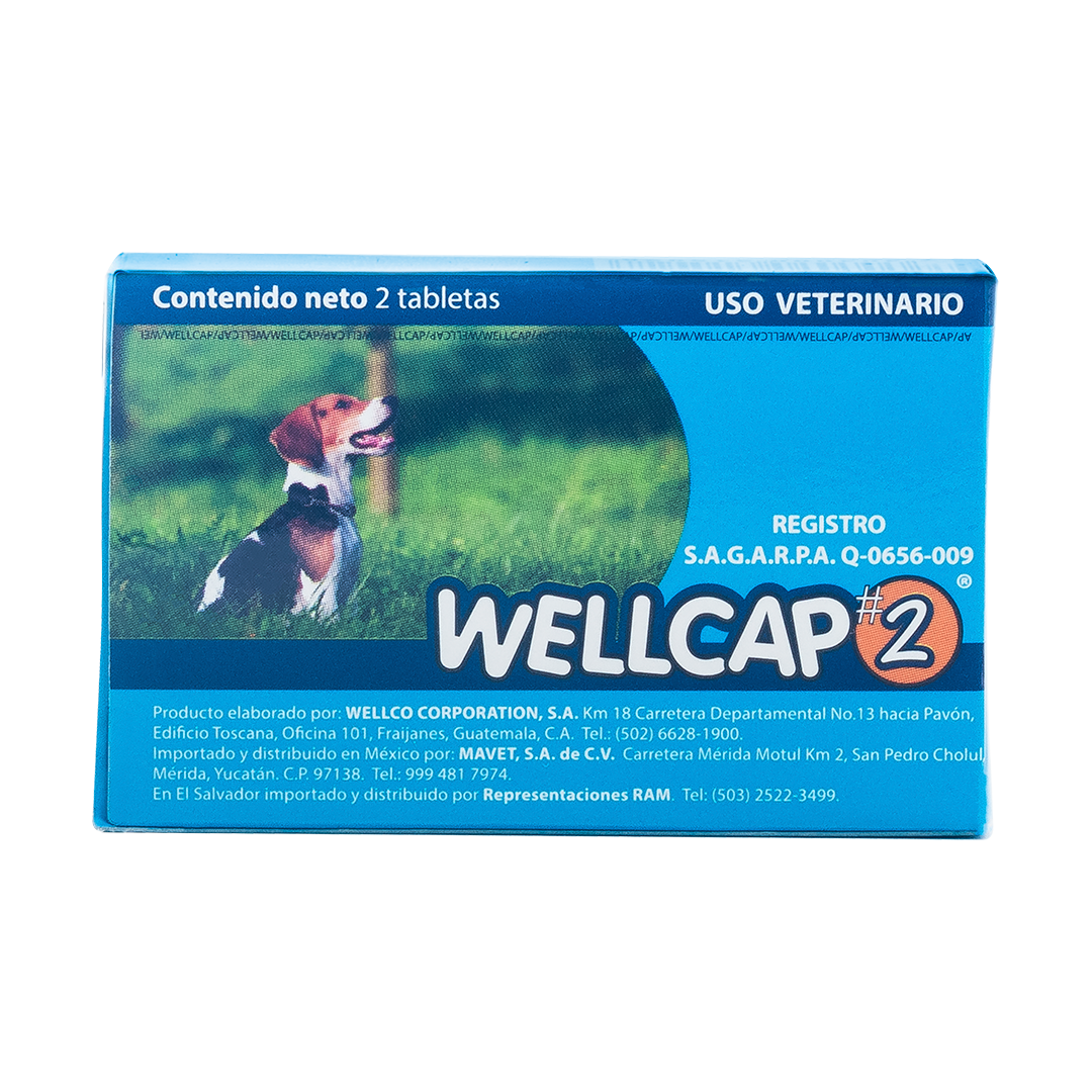 Wellcap #2