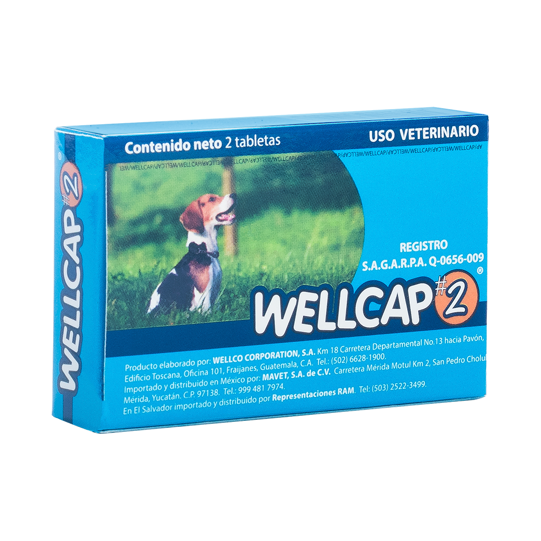 Wellcap #2
