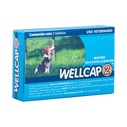 Wellcap #2