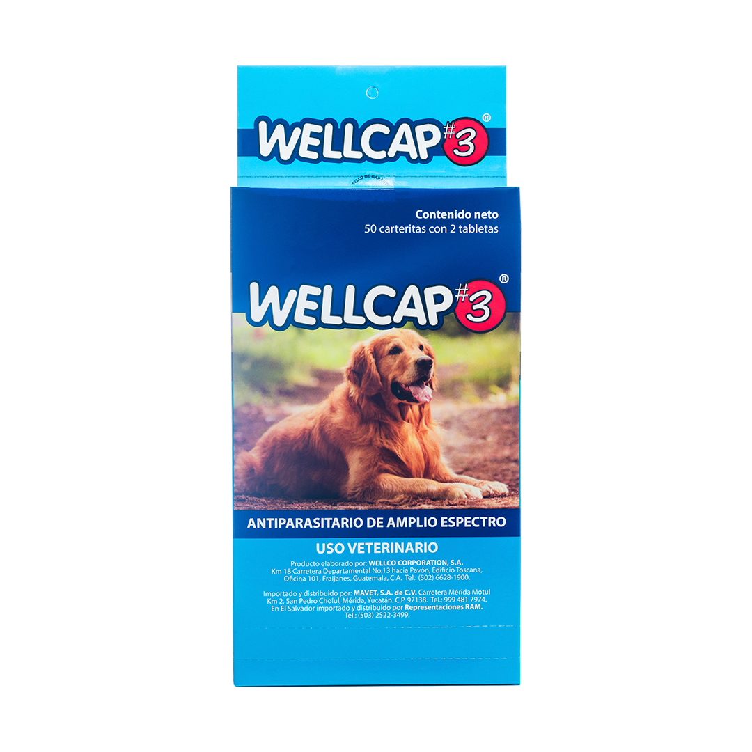 Wellcap #3