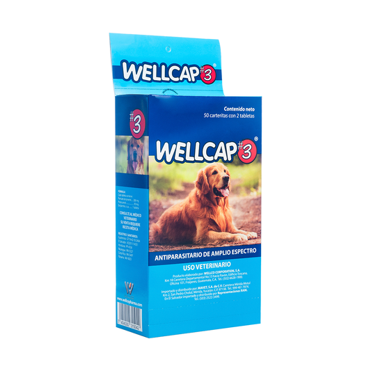Wellcap #3