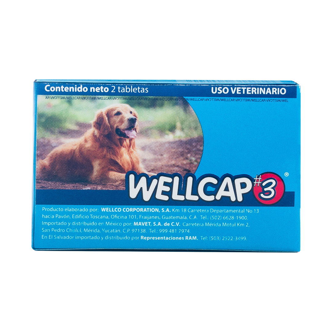 Wellcap #3